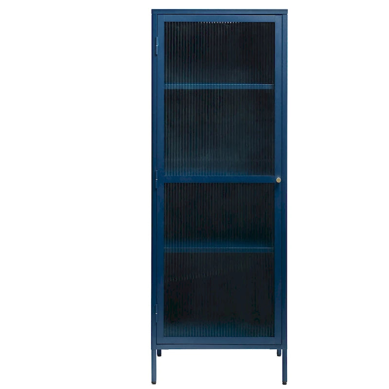 Rye Studio Brianne Modern Metal & Glass 63 Display Cabinet