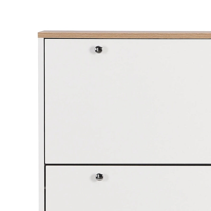 Minimalist Shoe Storage Cabinet with Wood Grain Finished Top Panel